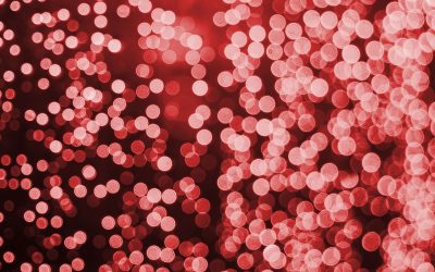 A very Merry Christmas from all at Safewell