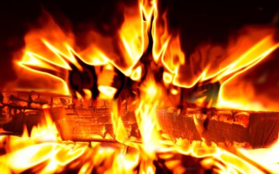 Fire Risk Assessment, Fire Evacuation and Fire Marshal Training for Sawmill