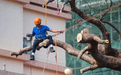 Do Lone Workers Need First Aid Training?