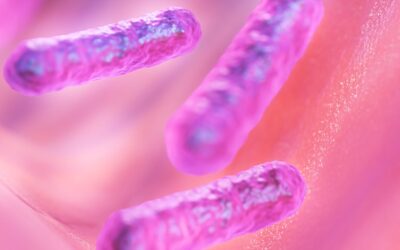 Legionella Awareness